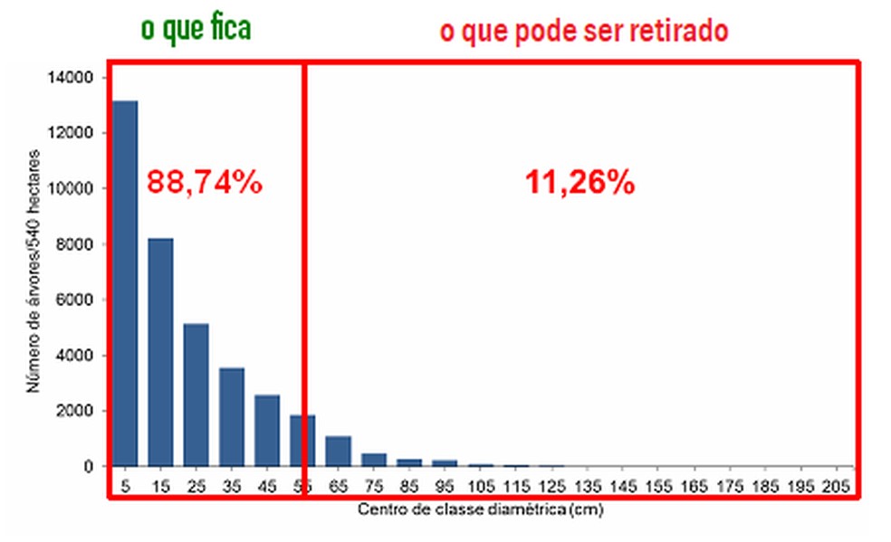 Gráfico — Foto: CIPEM