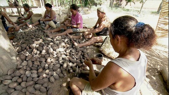 Globo Rural mostra rotina de quebradeiras de coco babaçu no Maranhão