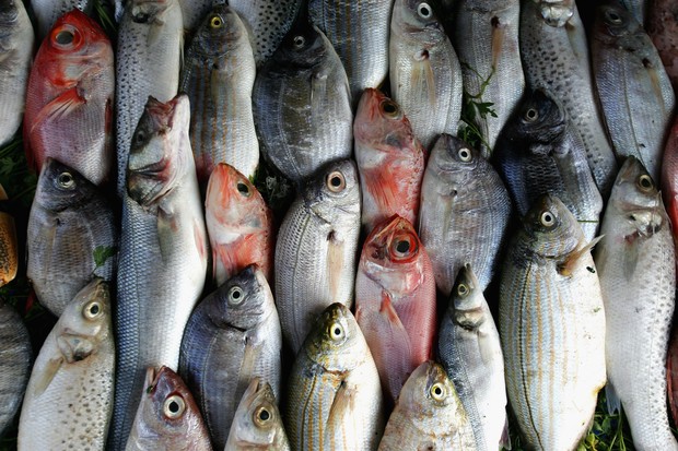 Peixe no mercado: consistência indica frescor (Foto: Getty Images/ Chris Jackson)