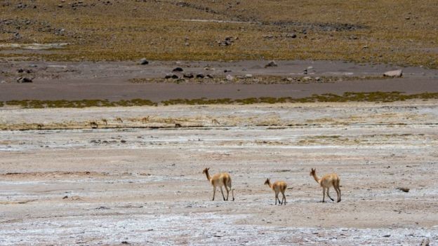 O deserto de Atacama é o mais seco do mundo (Foto: Getty Images via BBC News)