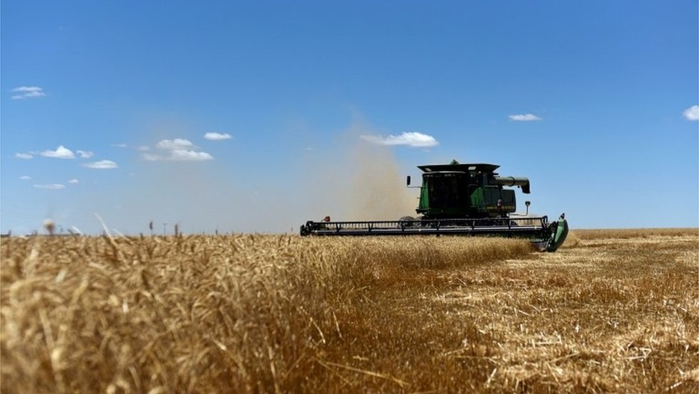 Nos Estados Unidos, apenas 10% do setor automotivo consome etanol; já no Brasil, esse número chega a 46% da frota — Foto: Reuters