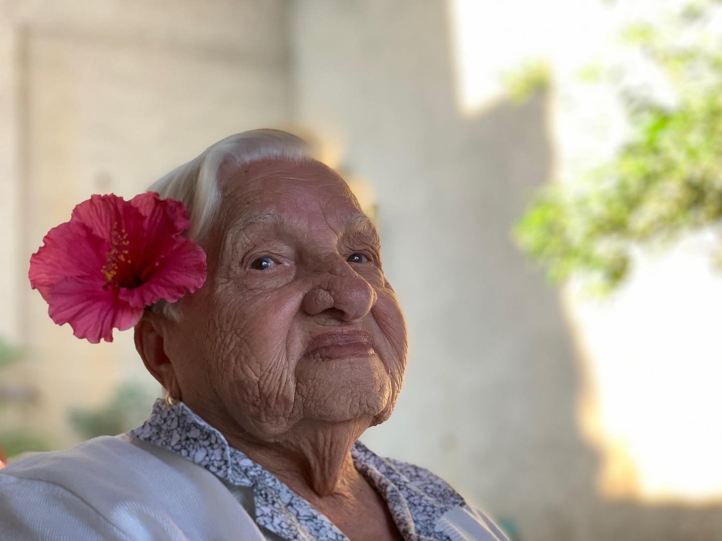 José Loreto lamenta morte da avó (Foto: Reprodução / Instagram)
