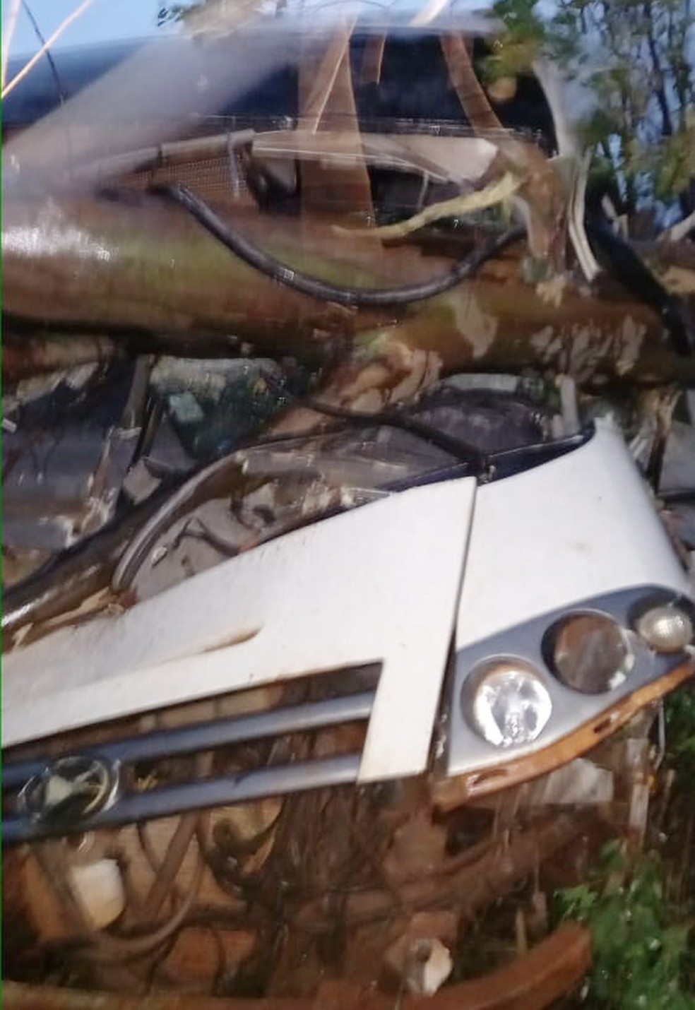Micro-ônibus bateu em árvore caída em estrada em Teodoro Sampaio (SP) — Foto: Corpo de Bombeiros