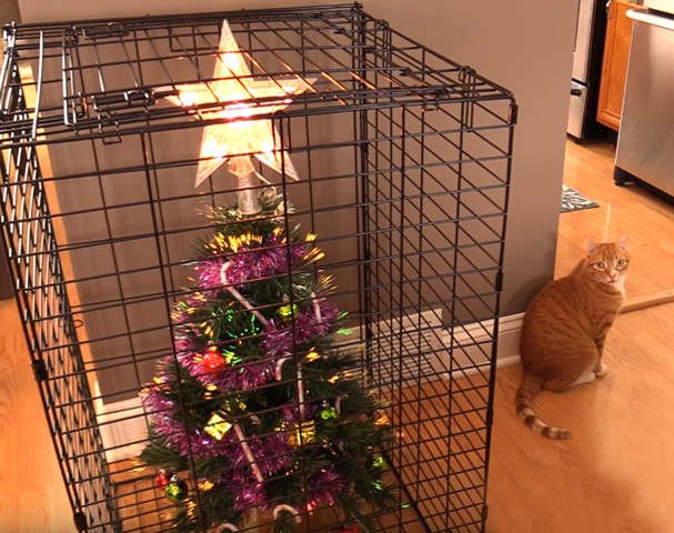 10 deias geniais para proteger sua árvore de natal dos cachorros e gatos (Foto: Reprodução) 10 deias geniais para proteger sua árvore de natal dos cachorros e gatos (Foto: Reprodução)