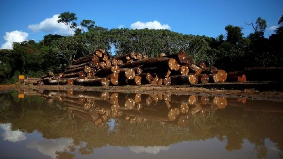 Desmatamento na Amazônia em 2020 foi o maior desde 2008, segundo dados do Inpe — Foto: Adriano Machado/Reuters