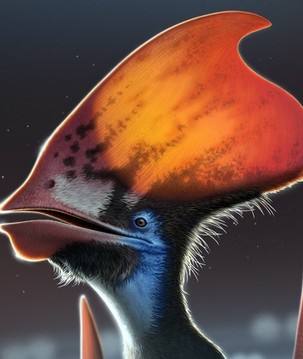 Descoberta de penas em pterossauro do Brasil resolve enigma científico