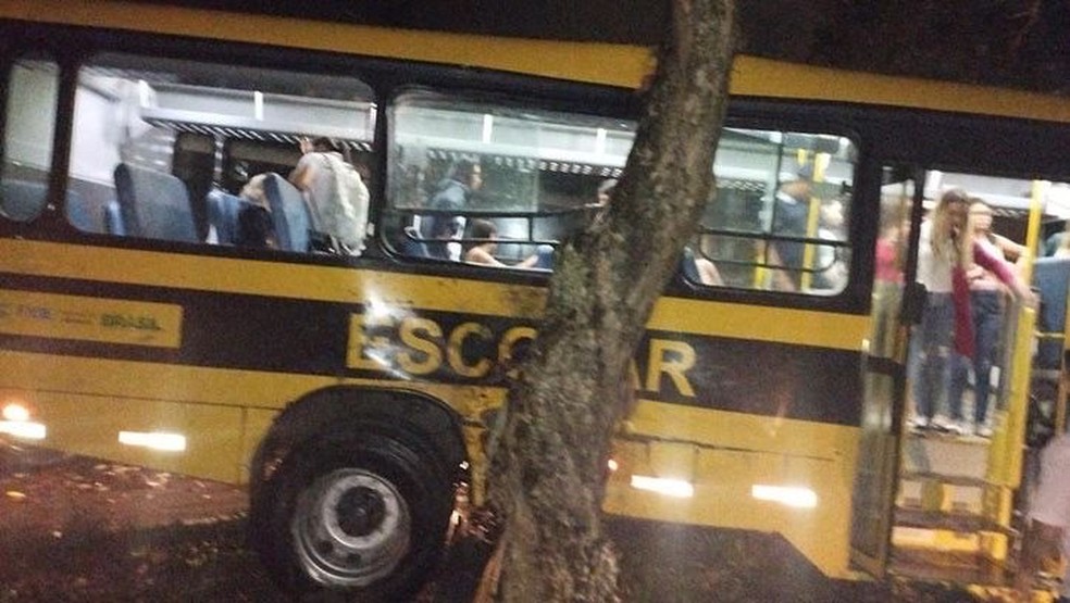 Ônibus escola de Joaquim Gomes bate em árvore em Rio Largo, Alagoas — Foto: Arquivo Pessoal
