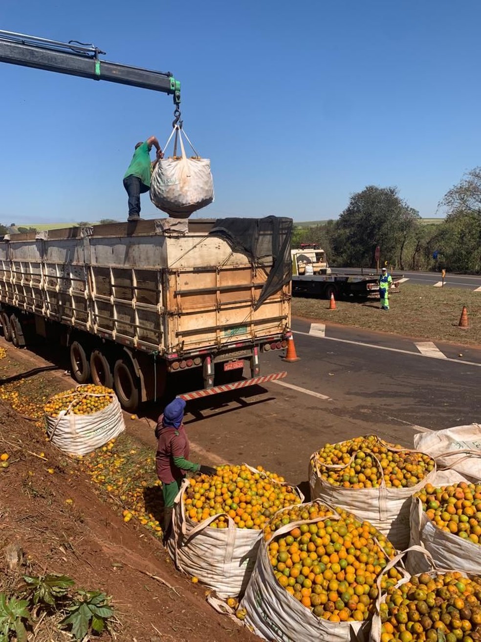 Carga de laranja só foi recolhida neste sábado (13) — Foto: Marcelo Liso/Portal Ternura