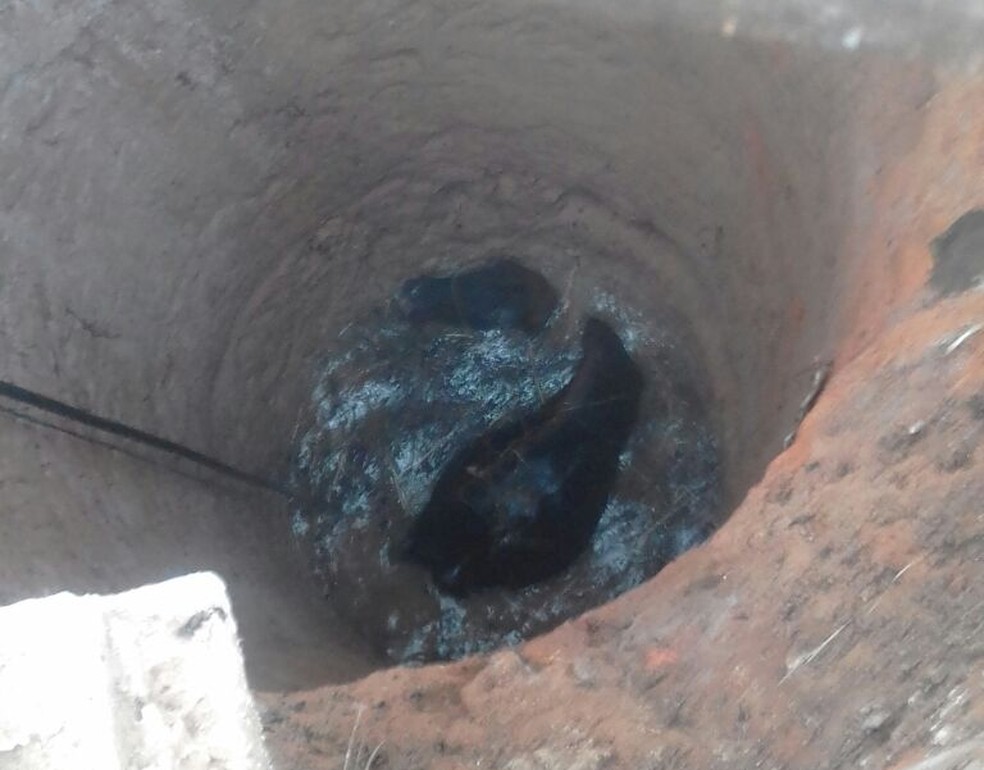 Vaca caiu em poço enquanto pastava terreno em Várzea Paulista (Foto: Talita da Silva Rocha/Arquivo pessoal)