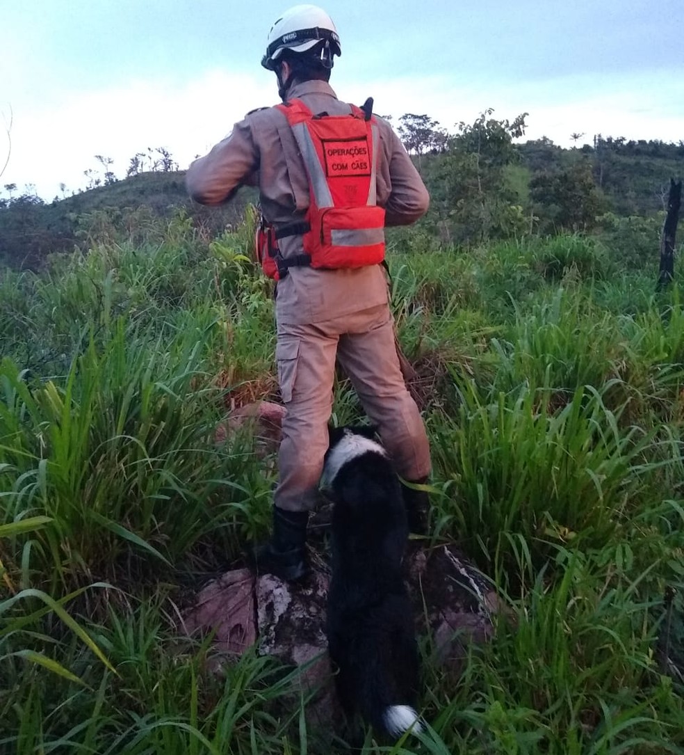 Luke ajuda bombeiros na localização de desaparecidos — Foto: Corpo de Bombeiros