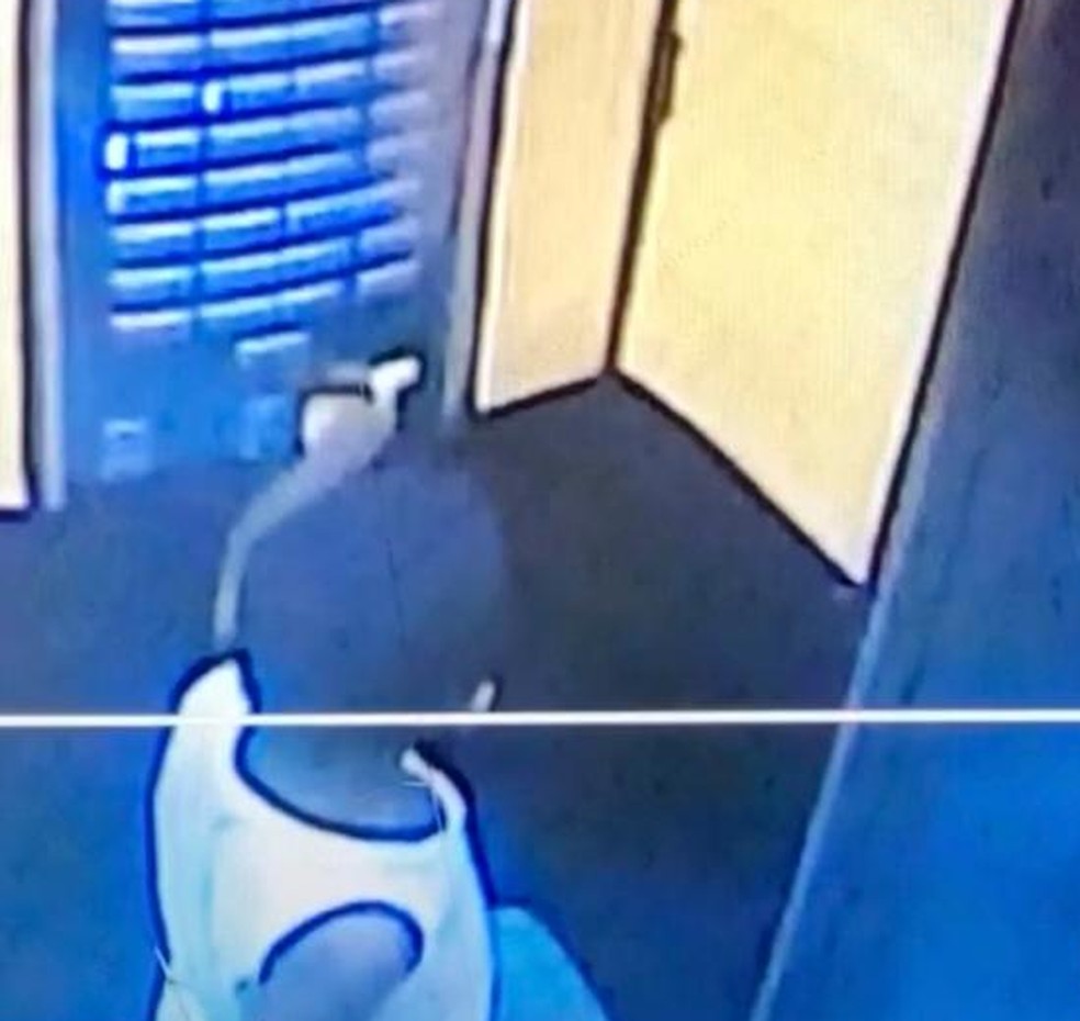 Câmeras mostraram menino Miguel Otávio apertando botões do elevador — Foto: Reprodução/WhatsApp