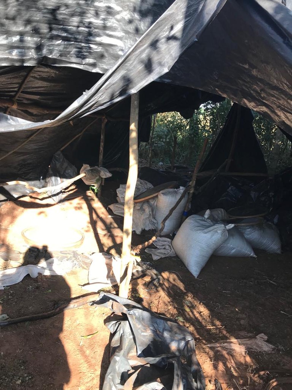 Acampamento onde os 2.800 kg de maconha foram apreendidos — Foto: Polícia Nacional do Paraguai/Divulgação