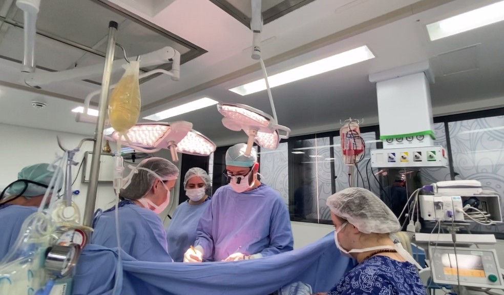Ceará realiza 253 transplantes de órgãos nos primeiros 7 meses de 2022 — Foto: Reprodução/RPC