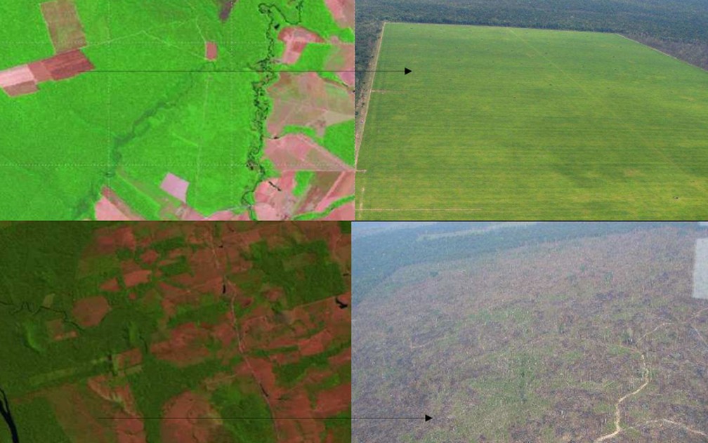 Entenda Como Funcionam Satelites Que Monitoram Desmatamento Na Amazonia Pais Tem Volume De Dados Absurdo Dizem Especialistas Natureza G1