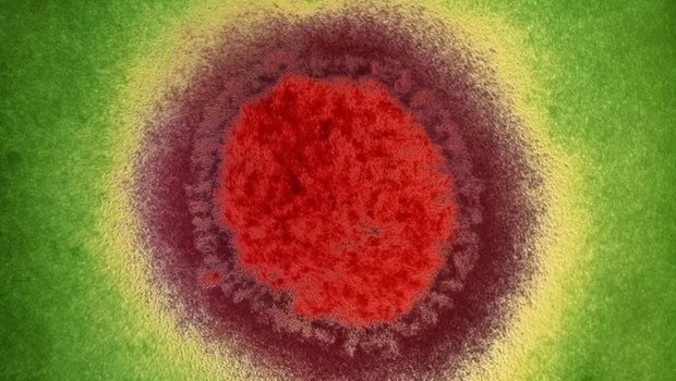Vírus da influenza, causador da gripe, praticamente desapareceu no início da pandemia, surpreendendo pesquisadores (Foto: SCIENCE PHOTO LIBRARY via BBC)