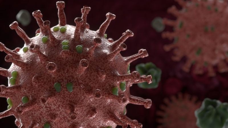 Variante encontrada na Índia pode levar a um recrudescimento da pandemia em vários lugares do mundo, apontam projeções (Foto: Getty Images)