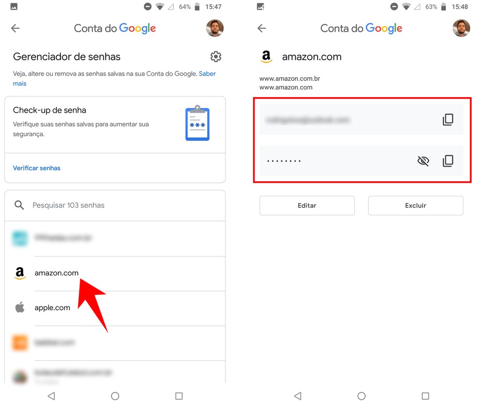 É possível ver as senhas armazenadas para fazer login em cada serviço — Foto: Reprodução/Rodrigo Fernandes