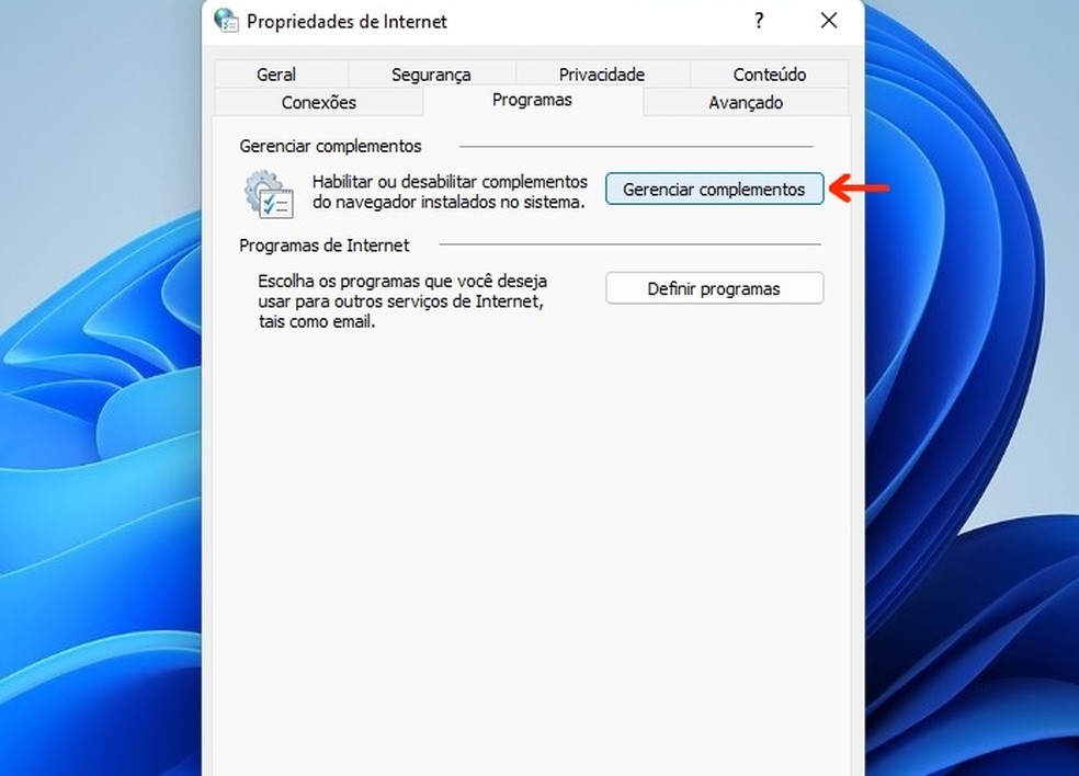 Botão para gerenciar complementos da Internet no Windows 11 — Foto: Reprodução/Raquel Freire