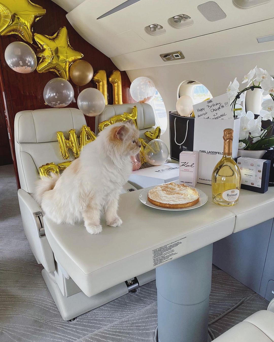 A gata de Karl Lagerfeld, Choupette, comemorou seu 11º aniversário em grande estilo (Foto: Reprodução/ Instagram)