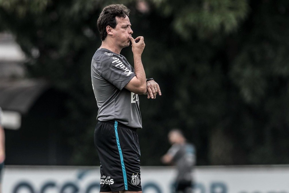 Fernando Diniz, técnico do Santos — Foto: Ivan Storti/Santos FC