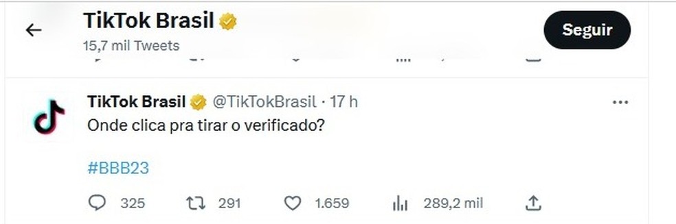 Post do perfil do TikTok &mdash; Foto: Reprodu&ccedil;&atilde;o/Twitter