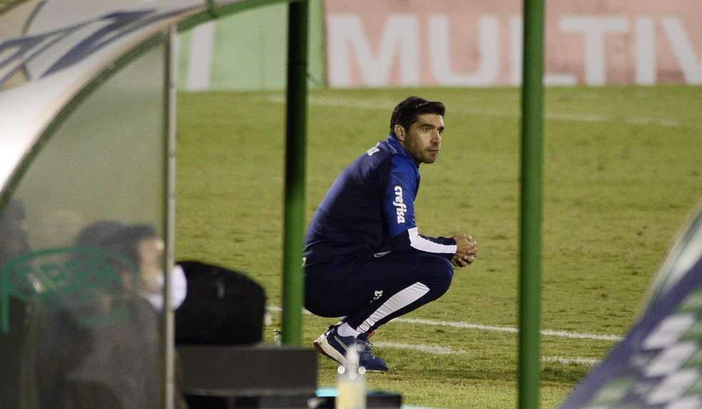 Abel vê debate limitado sobre três zagueiros e indica que quer permanência de Willian no Palmeiras
