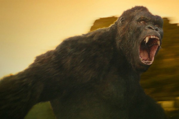 Kong: A Ilha da Caveira (Foto: Divulgação)