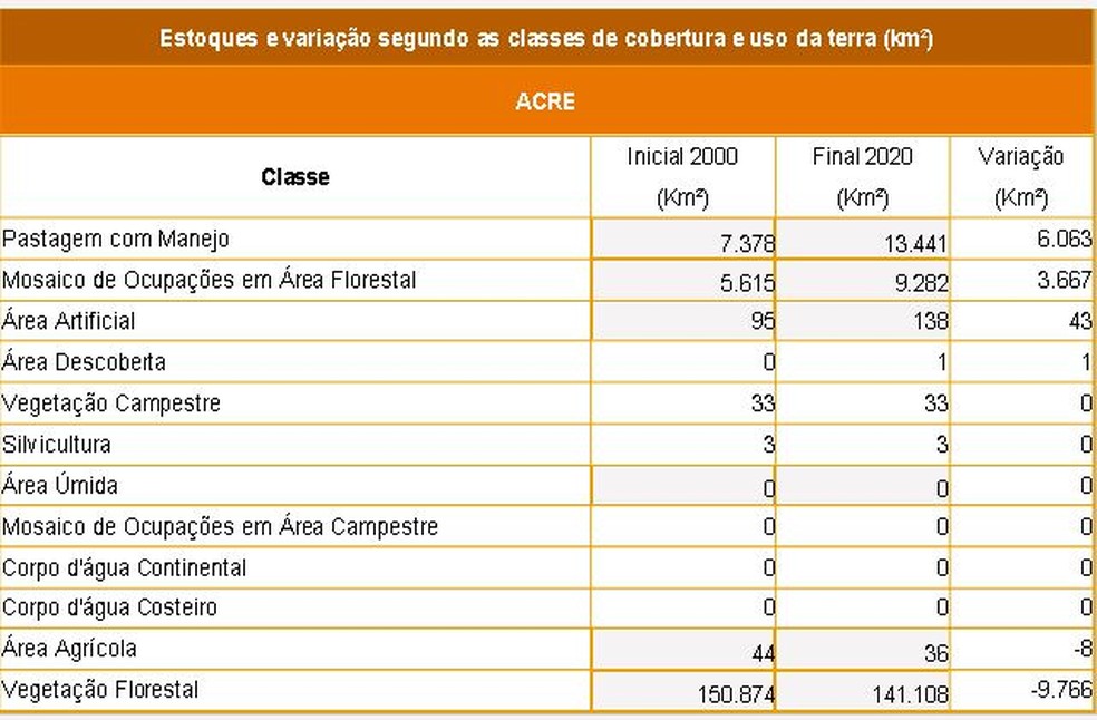 Confira estoques e variação segundo as classes  — Foto: IBGE