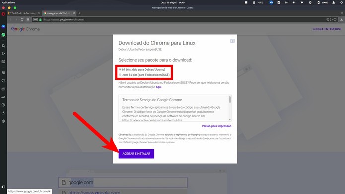 Escolha o tipo de arquivo instalador de acordo com a distribuição Linux que você usa (Foto: Reprodução/Filipe Garret) Escolha o tipo de arquivo instalador de acordo com a distribuição Linux que você usa (Foto: Reprodução/Filipe Garret)