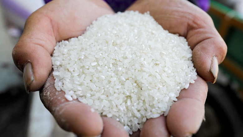 Grãos de arroz (Foto: REUTERS/Mohamed Abd El Ghany)