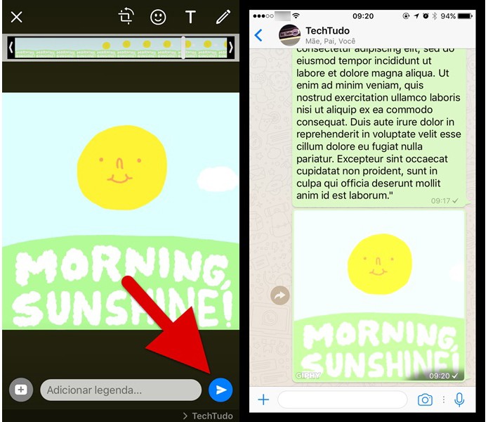Enviando o GIF pesquisado para a sua conversa no WhatsApp (Foto: Reprodução/Helito Bijora)