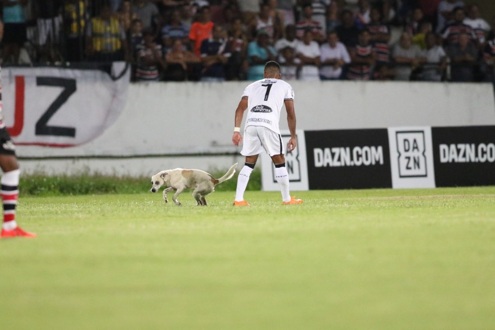 Atacante Gil não conseguiu pegar o intruso — Foto: Aldo Carneiro / Pernambuco Press