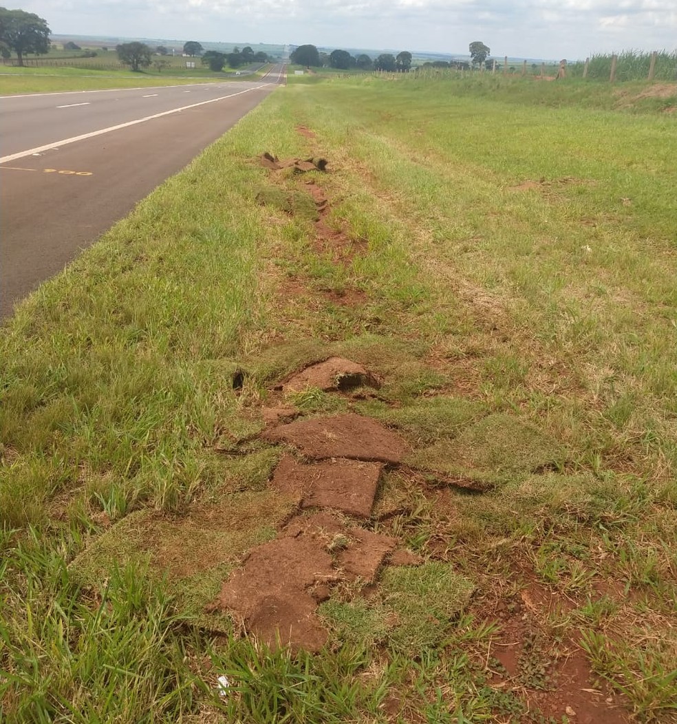 Homem foi detido por furtar grama nas margens da Rodovia Raposo Tavares â Foto: PolÃ­cia Militar RodoviÃ¡ria/DivulgaÃ§Ã£o