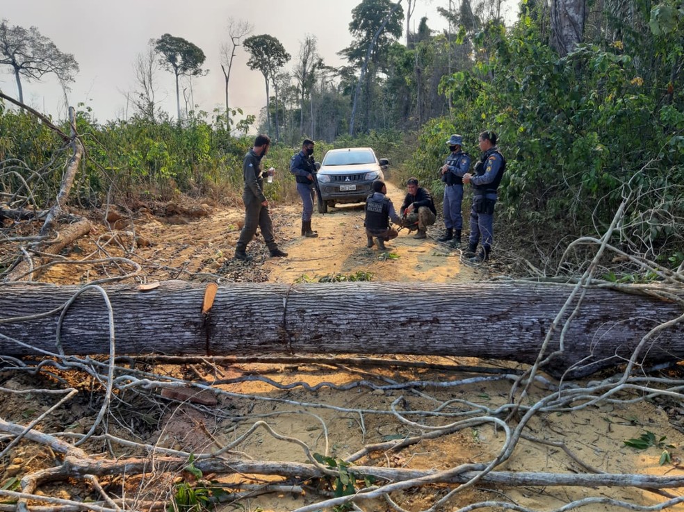 Grileiros e posseiros são suspeitos de desmatar Floresta Amazônia e fazer emboscadas contra fiscais em Mato Grosso — Foto: Sema