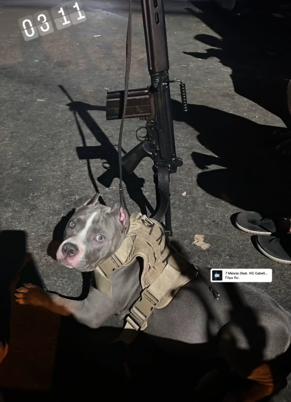 Alvos de operações, traficantes de outros estados levavam vida de ostentação  no Rio; um deles tinha até cão 'armado' | Rio de Janeiro | G1