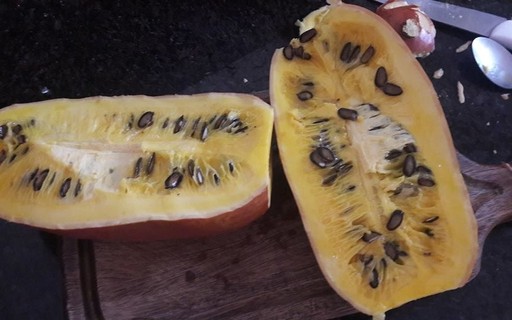 Crua E Fruta Parente Da Abobora Melao E Melancia Revista Globo Rural Gr Responde