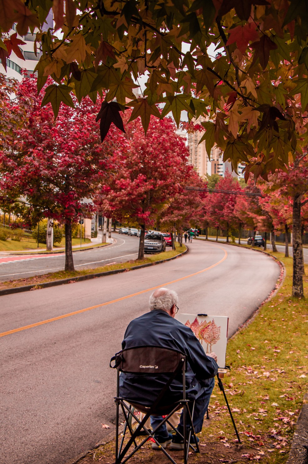 Fotógrafo viaja quase 300 km todo ano para fotografar a Rua do Outono em Curitiba: 'Mostrar a capital com o meu olhar de um jeito diferente' — Foto: Arquivo pessoal