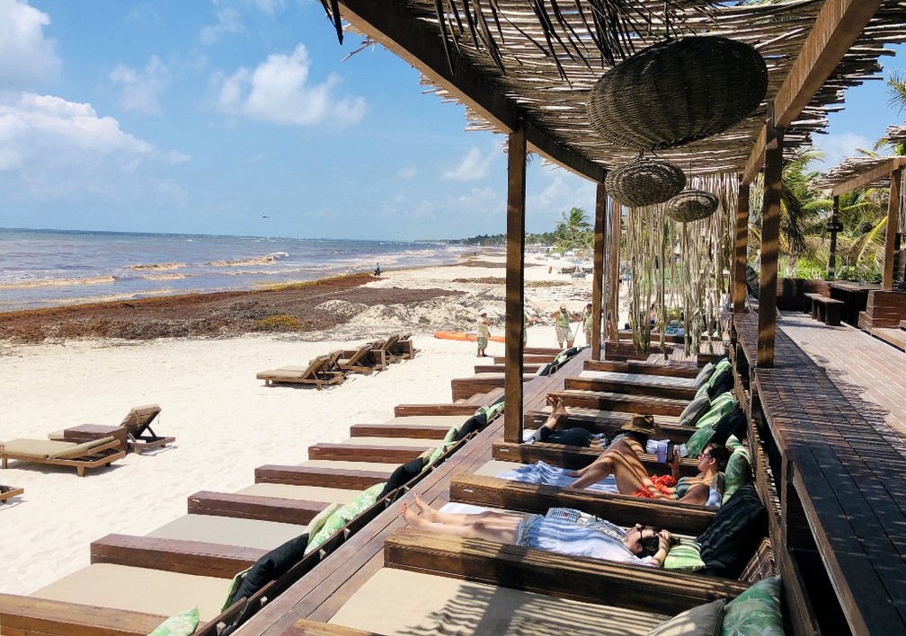 Turistas se dizem decepcionados com a quantidade de sargaço que encontram em Tulum, no México — Foto: Daniel Slim/AFP
