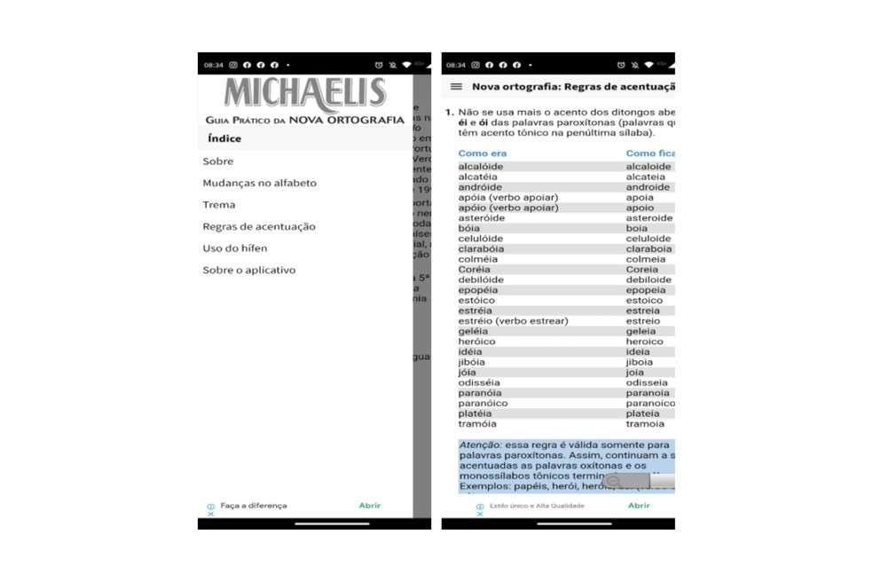O aplicativo Nova Ortografia facilita a revisão de trabalhos acadêmicos  — Foto: Reprodução/Gisele Souza