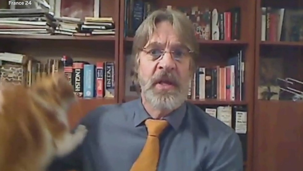 Jornalista Jasper Mortimer manteve a calma, retirou felino e continuou falando (Foto: Reprodução/France 24)