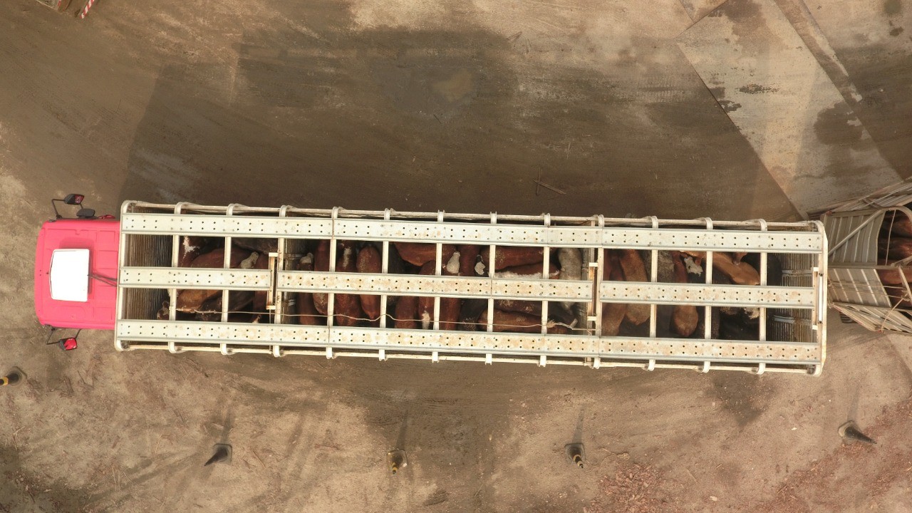 Valor das exportações do agronegócio do RS aumenta 8,4% no primeiro trimestre de 2021