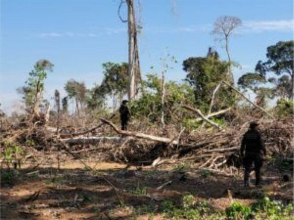 Infrator é multado em mais de R$ 1 milhão por crime ambiental em São Francisco do Guaporé, RO — Foto: PM Ambiental/Divulgação 