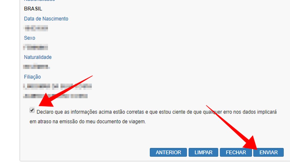 No site da Polícia Federal, marque a caixa e envie o formulário — Foto: Reprodução/Paulo Alves