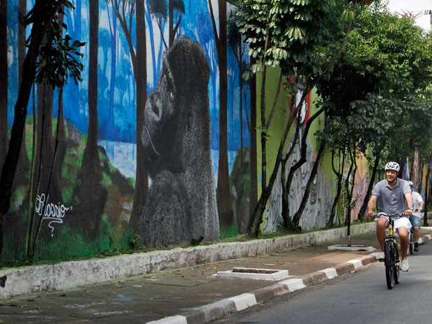 Haddad percorre mural de grafite na Avenida 23 de Maio (Foto: Heloisa Ballarini/Divulgação Prefeitura de SP)