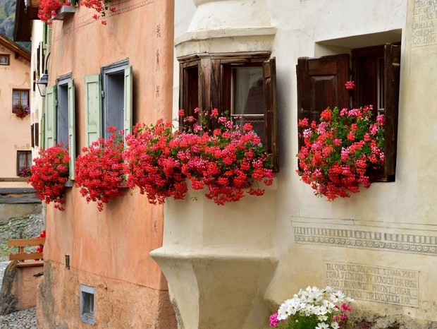 Flowering geraniums on the windows of a house, Guarda, Scuol, Engadin, Canton of Graubunden, Switzerland. (Photo by Albert Ceolan / De Agostini Picture Library via Getty Images) (Foto: De Agostini via Getty Images)