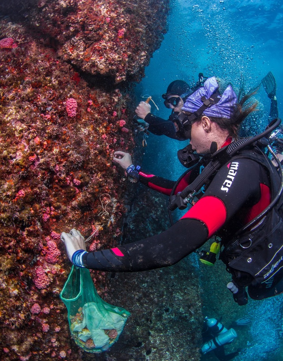 Mergulhadores usam martelo e talhadeira para retirar os corais-sol — Foto: Divulgação/Clecio Mayrink