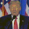 Foto: (trump / Giphy)