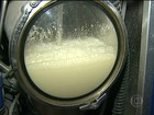 Falta de pastagem e menor produção provocam alta no preço do leite