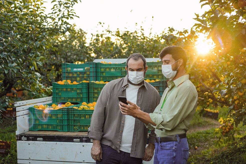 O Sicredi é a segunda maior instituição financeira do Brasil em crédito rural. — Foto: Divulgação
