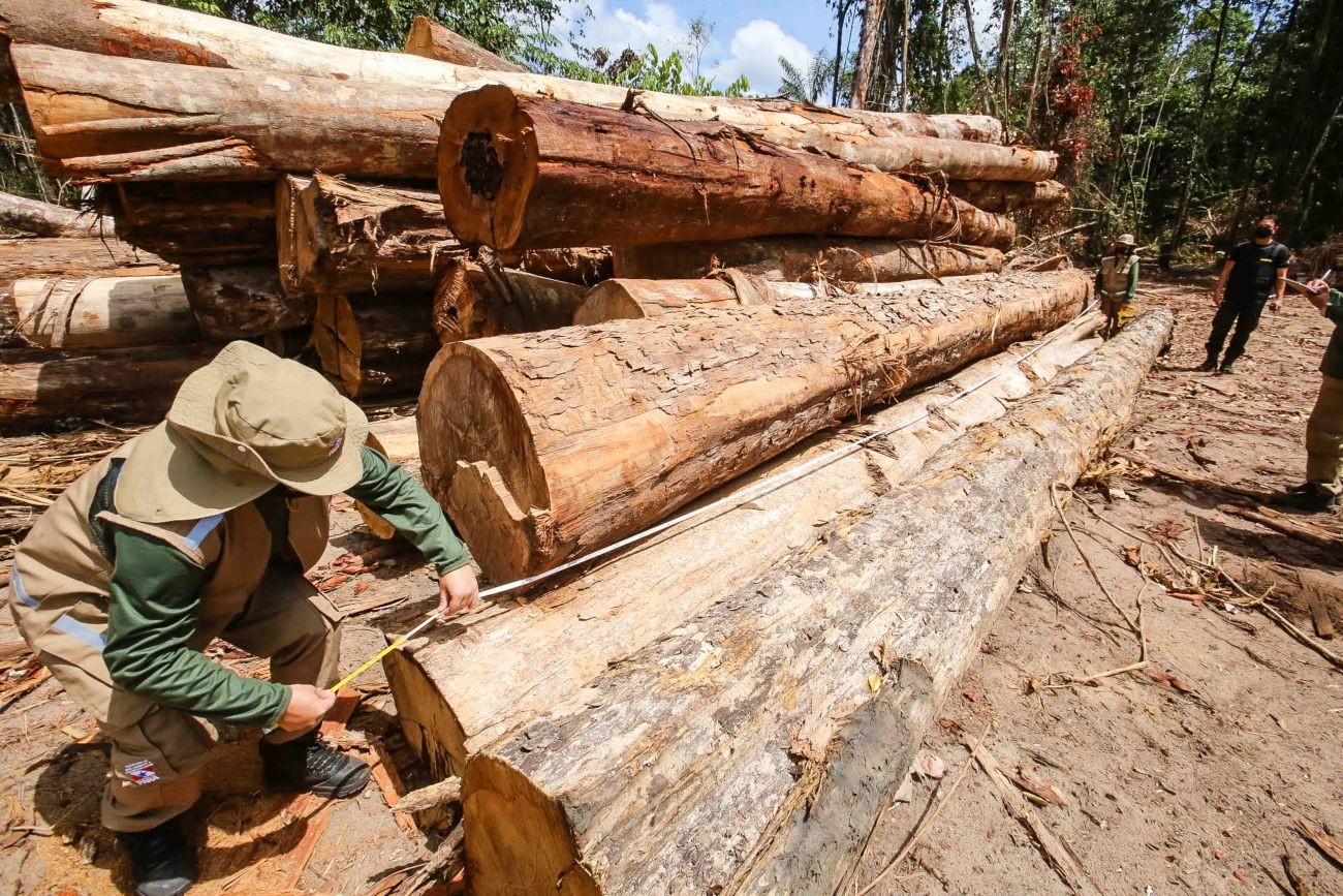 Maior banco da França não financiará mais empresas que exploram terras desmatadas da Amazônia thumbnail